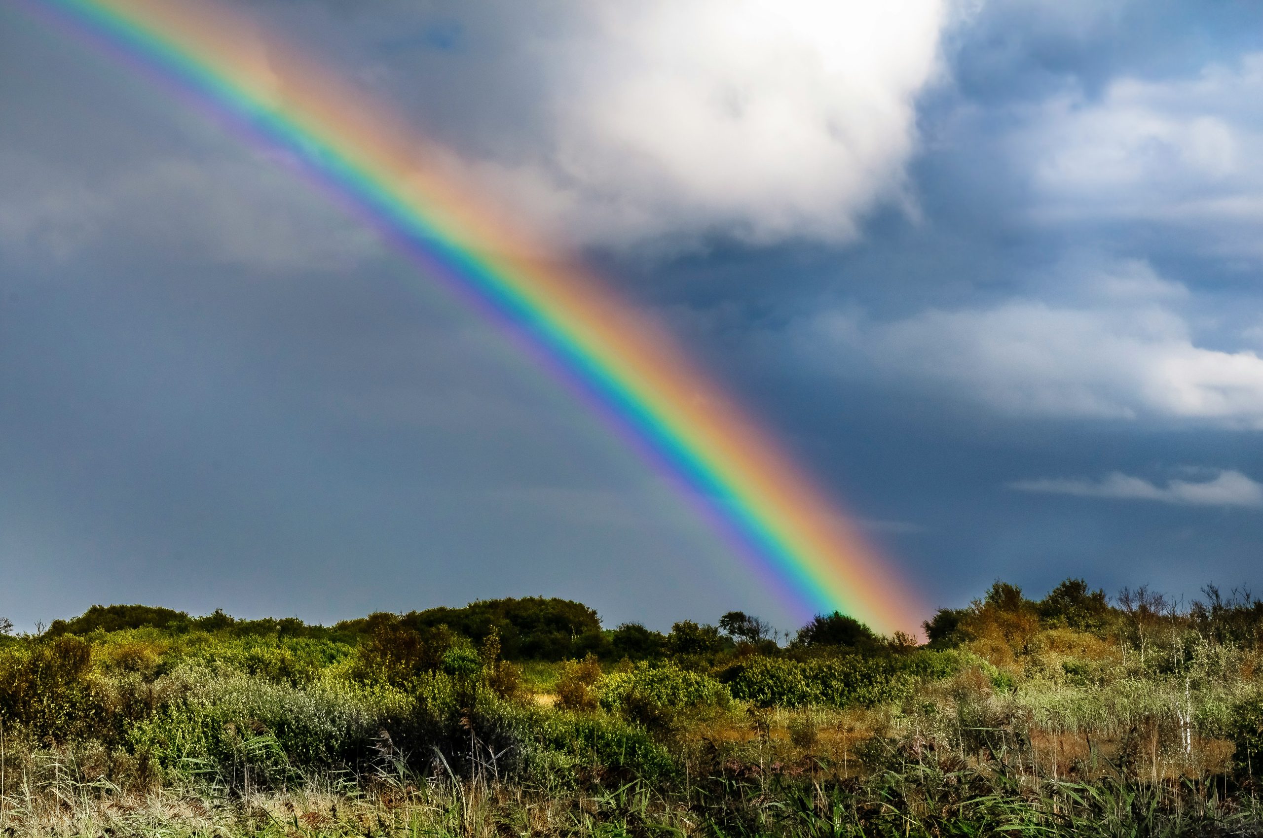 Rainbow sky background